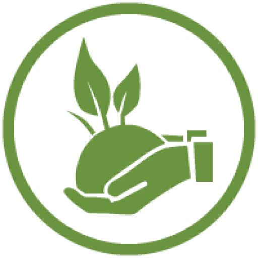 hands with plant